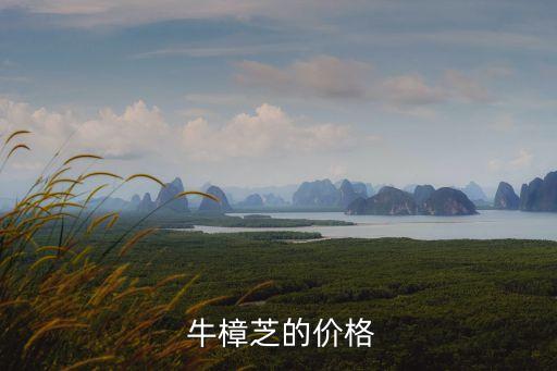 牛樟芝,牛樟芝菌絲體或子實體不能定位為成熟果實標志