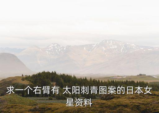 求一個右臂有 太陽刺青圖案的日本女星資料