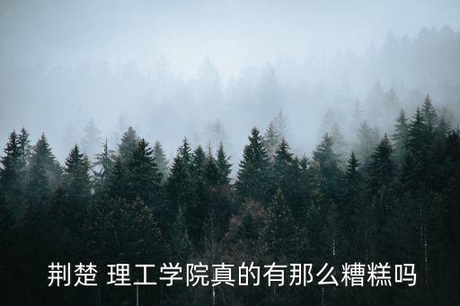  荊楚 理工學(xué)院真的有那么糟糕嗎