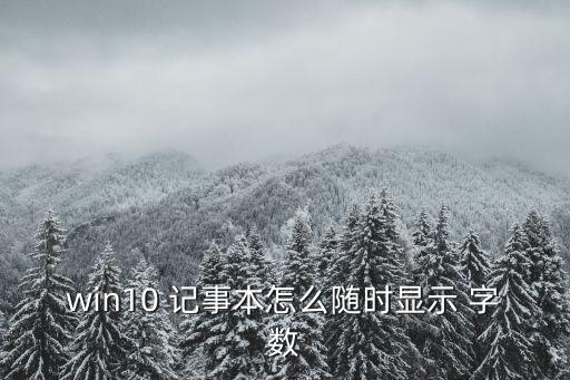 記事本怎么看字數,win10怎么用文檔查看字數
