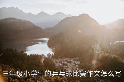 乒乓球賽總結,本屆運動會乒乓球賽的賽事
