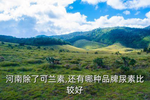 西洋集團,中國汽車排氣管堵塞事件