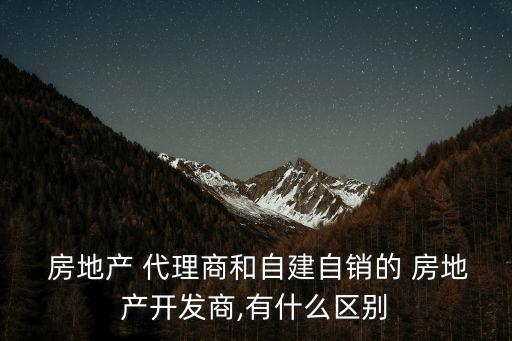  房地產(chǎn) 代理商和自建自銷的 房地產(chǎn)開發(fā)商,有什么區(qū)別