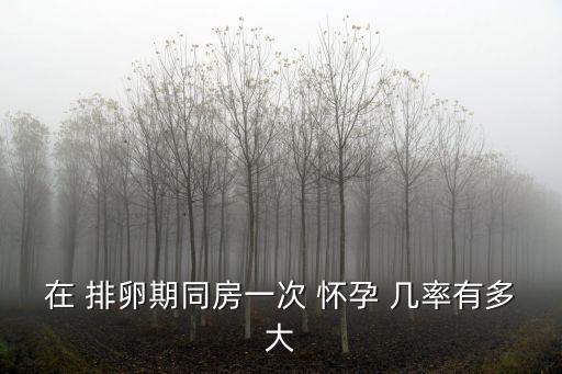 在 排卵期同房一次 懷孕 幾率有多大