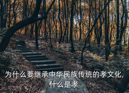孝養,孝順是我們做人的基礎不要盲目擴張孝文化