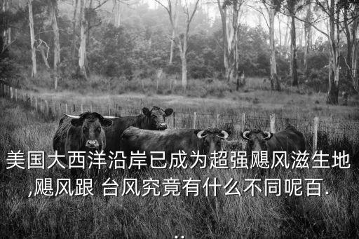 美國(guó)臺(tái)風(fēng),美國(guó)稱(chēng)為龍卷風(fēng)的故鄉(xiāng)熱帶氣旋季節(jié)為6月至12月