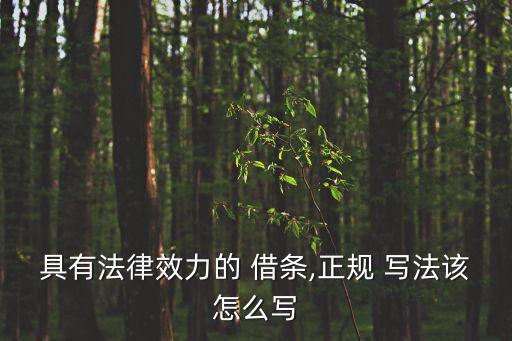 具有法律效力的 借條,正規(guī) 寫法該怎么寫