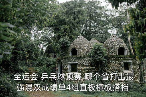 乒乓球全運會,全運會乒乓球預賽和決賽多難!