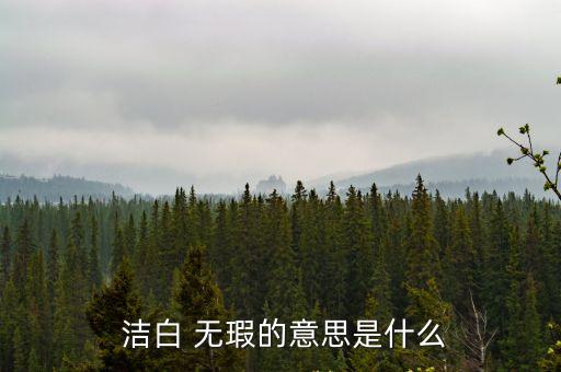  潔白 無(wú)瑕的意思是什么