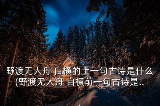 野渡無人舟 自橫的上一句古詩是什么(野渡無人舟 自橫前一句古詩是...