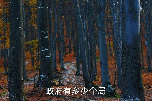 國家局,政府有多少個局法律分析?