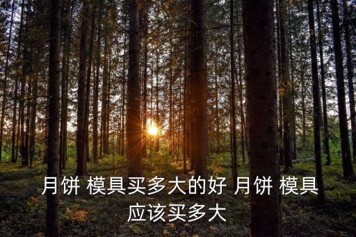  月餅 模具買多大的好 月餅 模具應(yīng)該買多大