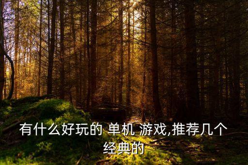 好玩兒的單機(jī)游戲