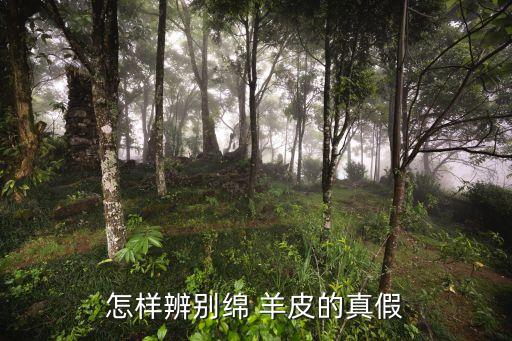 老羊皮,老羊皮被埋百眼洞百姓挖出來了