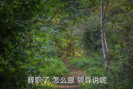 辭職怎么跟領導說,辭職不忘感謝領導:從領導身上學到了很多