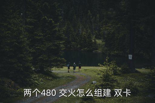 兩個(gè)480 交火怎么組建 雙卡