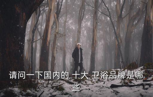 請(qǐng)問(wèn)一下國(guó)內(nèi)的 十大 衛(wèi)浴品牌是哪些