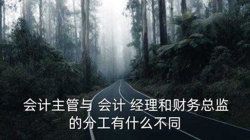 會(huì)計(jì)經(jīng)理,根據(jù)公司規(guī)模不同每個(gè)公司職責(zé)也不同