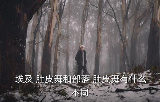  埃及 肚皮舞和部落 肚皮舞有什么不同