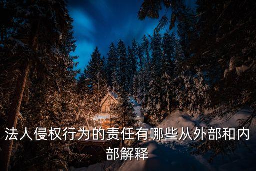 法人侵權行為的責任有哪些從外部和內部解釋