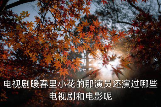 電視劇暖春里小花的那演員還演過哪些電視劇和電影呢