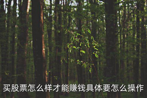 買股票怎么樣才能賺錢具體要怎么操作