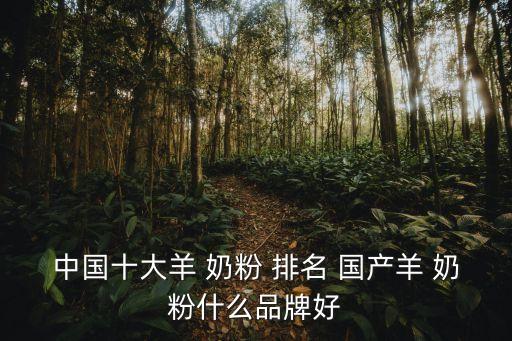 中國十大羊 奶粉 排名 國產(chǎn)羊 奶粉什么品牌好