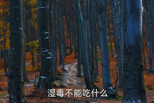  濕毒不能吃什么