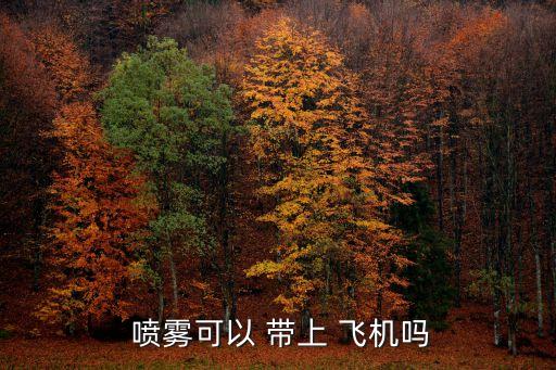 噴霧能帶上飛機(jī)嗎,免洗啫喱能不能帶上飛機(jī)?酒精易燃只能托運