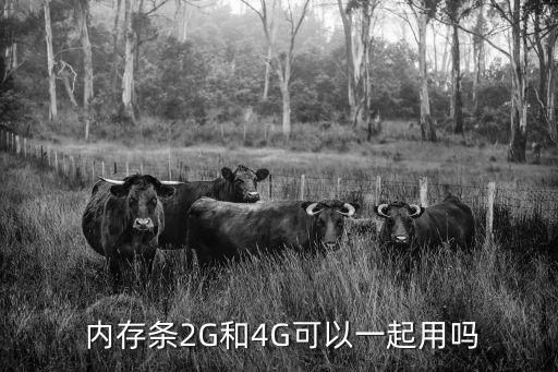 4g內存條,兩根4g內存條怎么用?