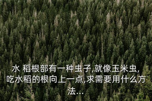 水 稻根部有一種蟲子,就像玉米蟲,吃水稻的根向上一點,求需要用什么方法...
