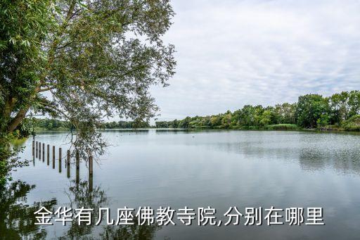 法幢寺,青海省最大漢傳佛教比丘尼寺在西海岸