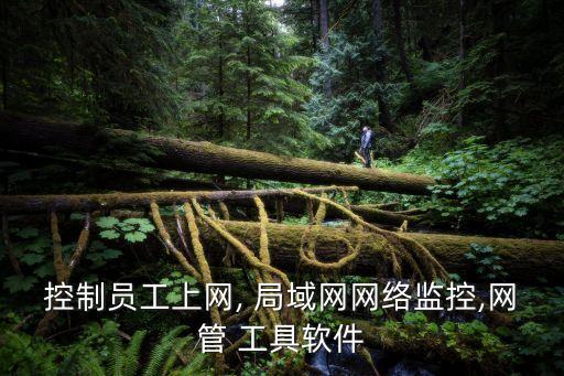 局域網管理工具,實用網絡監控軟件天一城網管下載安裝