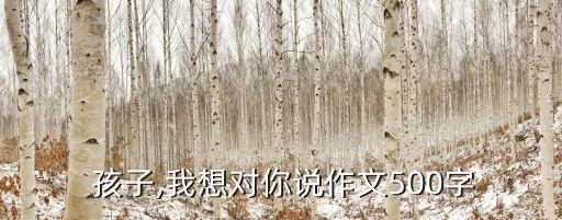 孩子我想對你說,我能給你很多但不能強迫你做事