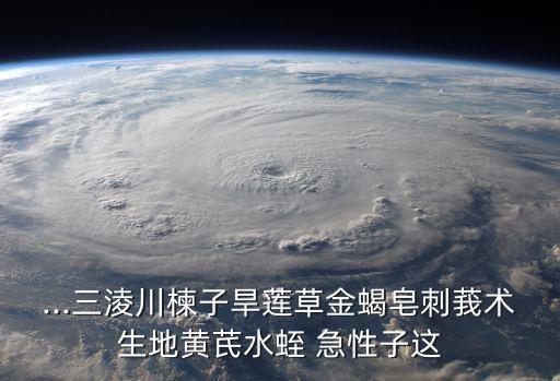 急性子的功效與作用,這些花兒都有哪些功效?