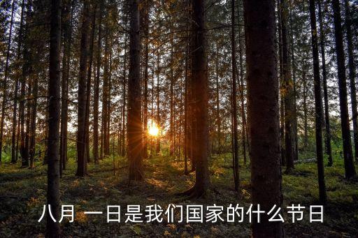 八月一日,中國(guó)工農(nóng)紅軍紀(jì)念日每年八月一日為建軍節(jié)