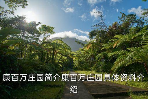 康應魁,康百萬莊園又名河洛康佳