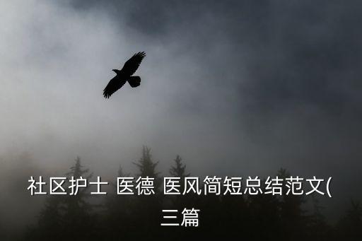 社區(qū)護(hù)士 醫(yī)德 醫(yī)風(fēng)簡短總結(jié)范文(三篇