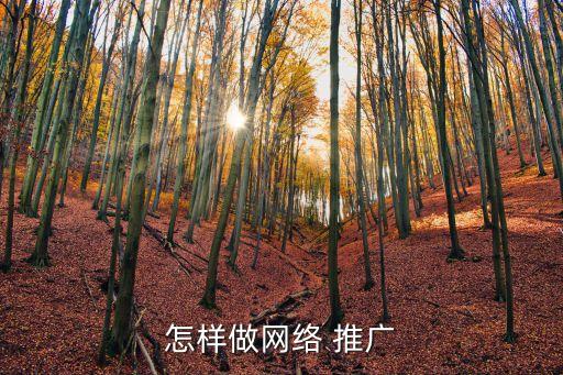 網上推廣,網絡推廣可以小投入大回報?
