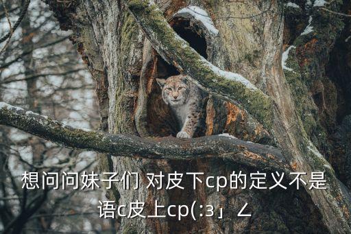 想問問妹子們 對(duì)皮下cp的定義不是語c皮上cp(:з」∠