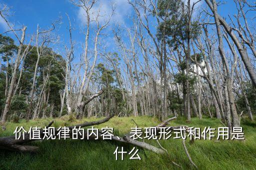 什么是價(jià)值規(guī)律,什么是價(jià)值規(guī)律,價(jià)值鏈條是什么?