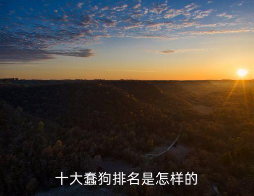 十大蠢狗排名是怎樣的