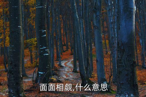 面面相覷的近義詞,中國習語:面對面