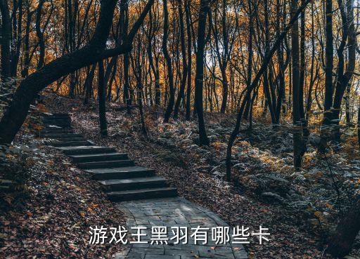 黑色旋風,游戲王黑羽:旋風和神鳥攻擊讓對方無法發動