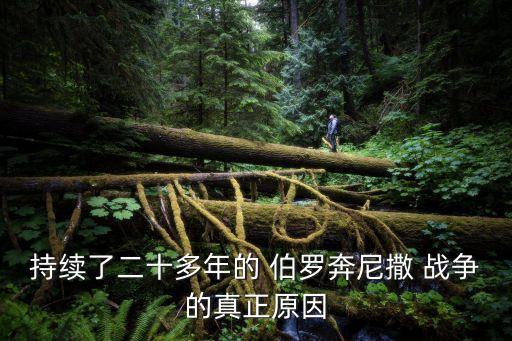 持續(xù)了二十多年的 伯羅奔尼撒 戰(zhàn)爭(zhēng)的真正原因