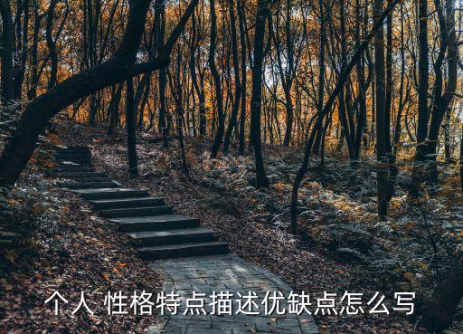 性格評價,性格開朗待人熱忱有進取精神和團隊精神