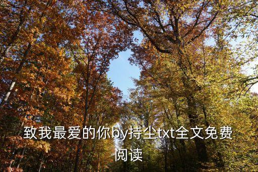 致我最愛的你by持塵txt全文免費閱讀
