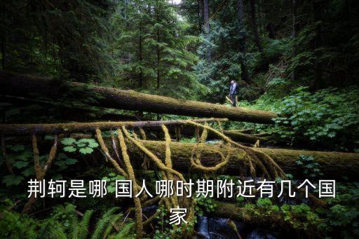 荊軻是哪國人,刺殺魏王失敗司馬遷記錄下刺殺過程