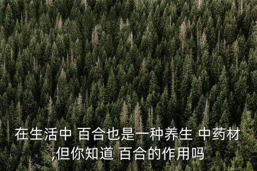 中藥百合,百合可以和芹菜一起炒香腸