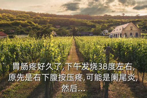胃腸疼好久了,下午發燒38度左右,原先是右下腹按壓疼,可能是闌尾炎,然后...